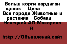 Вельш корги кардиган щенок  › Цена ­ 35 000 - Все города Животные и растения » Собаки   . Ненецкий АО,Макарово д.